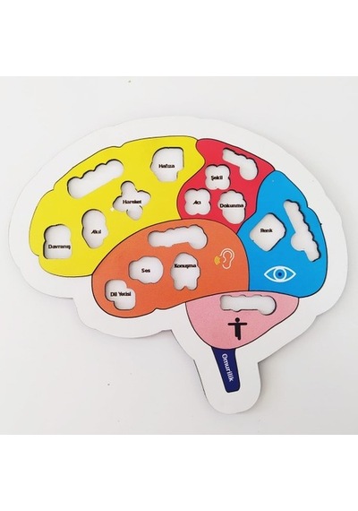 Moon Beavers Beynimi Öğreniyorum Ahşap Eğitici Oyun