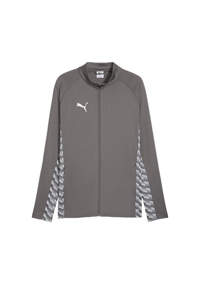 Puma Teamliga26 Training Jacket Erkek Futbol Kamp Ceketi 65972713 Gri