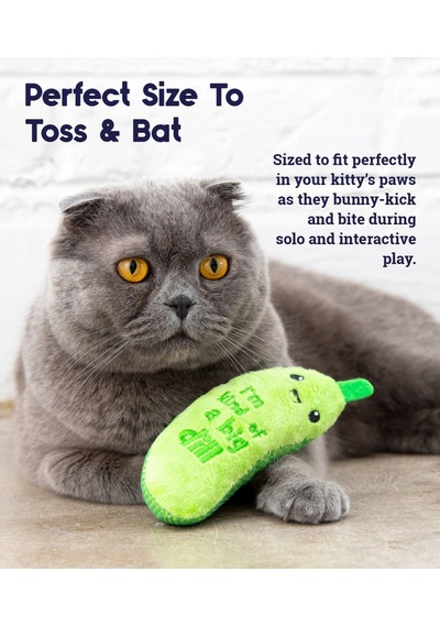 Crunch Pickle Kicker Dental Catnipli Kedi Çiğneme Oyuncağı - Diş Sağlığını Destekleyici