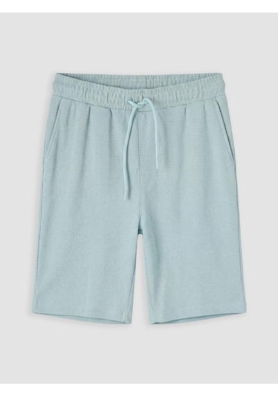 Lcwaıkıkı Classic Turkuaz Regular Fit Erkek Şort