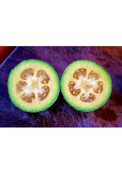 3 Yaş Tijli Feijoa kaymak Ağacı Fidanı