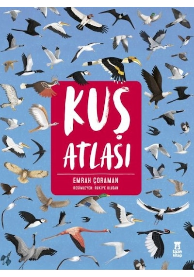 Kuş Atlası - Grsy-619199