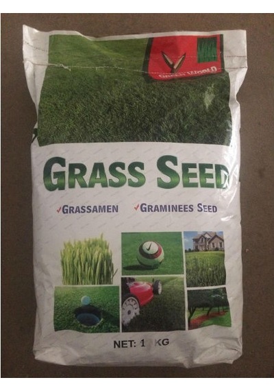 GRass Seed Çim Tohumu 1 KG