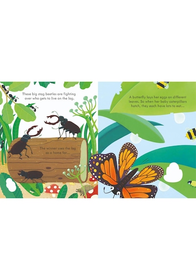 The Usborne Peep Inside Bug Homes