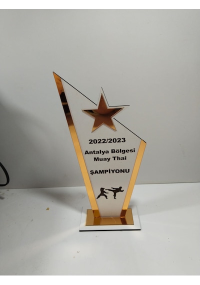 Plaket Karete/boks/judo/muay Thai Turnuvalarına Özel Altın