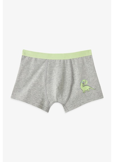 Penti  Renkli Erkek Çocuk Dino 3'lü Boxer