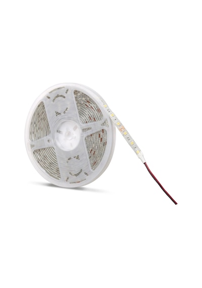 Dış Mekan Led 4040 Mavi 1mt