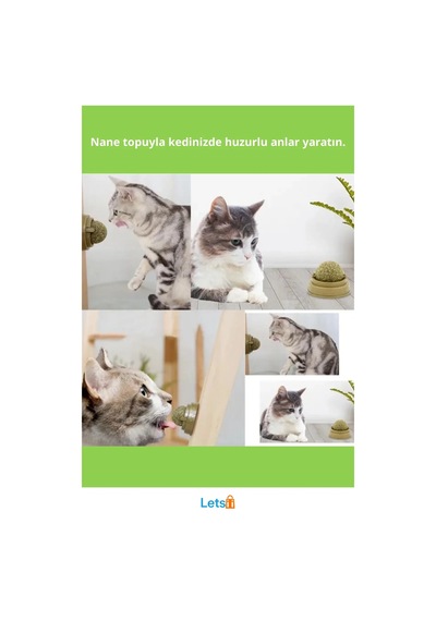Kedi Nanesi İle Oyun Topu 5 Cm Çok Renkli