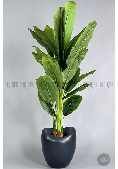 Biçiçek Yapay Muz Ağaci 210 Cm 4 Gövdeli̇ 21 Yaprak Antresi̇t Lale Saksıda