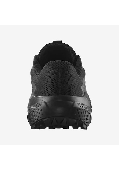 Salomon Alphaglide Erkek Spor Ayakkabı L47948300 Siyah