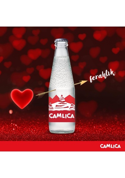 Çamlıca Limon Aromalı Gazoz 200 Ml X 24 Adet