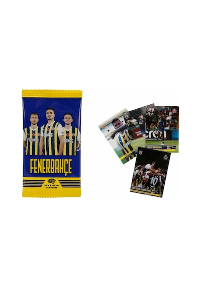 Fenerbahçe Booster Kart 2023-24
