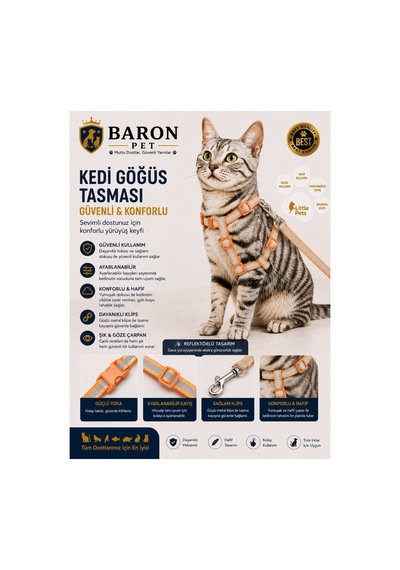Kedi Göğüs Tasması Ve Gezdirme Kayışı Seti Turuncu Reflektörlü Ayarlanabilir