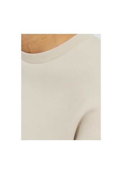Jack & Jones Jjebradley Crewneck Sweat Günlük Erkek Sweatshirt Ekru