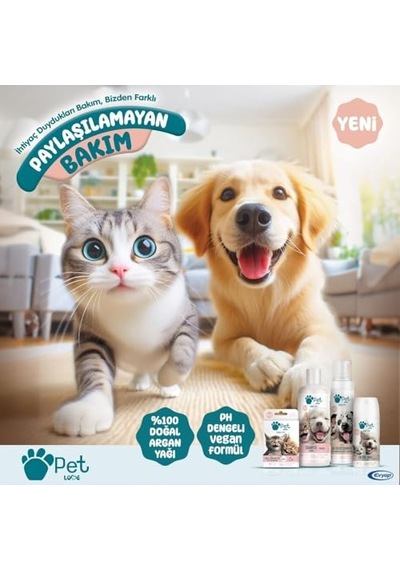 Ayrex Şampuan, Çilek, 500 Mililitre