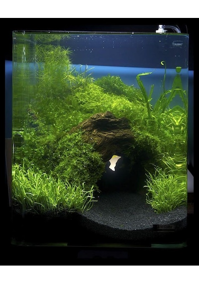 Ahs 5 Kg 1-2mm Hagen Siyah Bitki Kumu Akvaryum Kumu 5 Kg