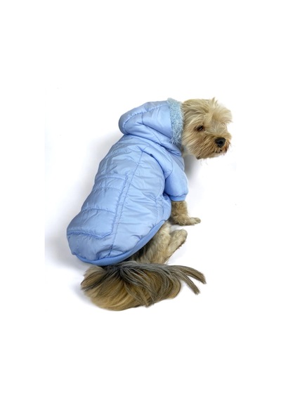 Baby Blue Comfy Köpek Montu, Köpek Ceketi, Köpek Dış Giyim