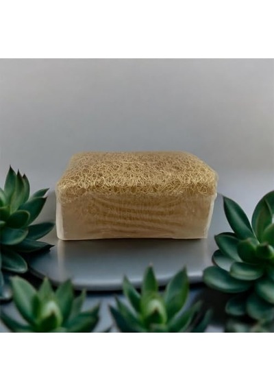 Inkorea Anti Selülit Etkili Yosun Özlü Doğal Kabak Lifli Sabun 100 Gram 285 ML