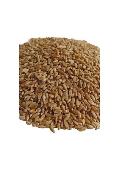 Şenler Hediklik Buğday Diş Buğdayı 1 KG