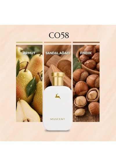 C058 Guidans 50 Ml.