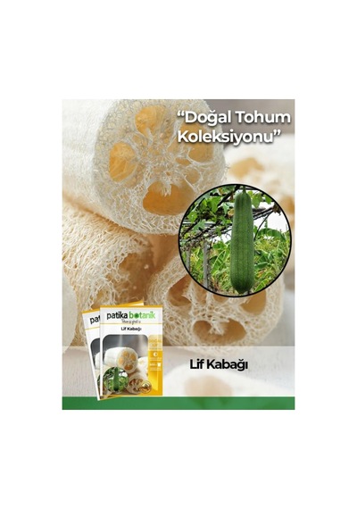 5 Adet Lif Kabağı Tohumu Luffa Aegyptiaca
