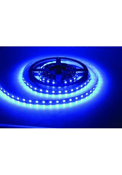 Kcl005 Mavi Led Şerit Siyah