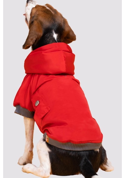 Köpek Mont - Red Design Su Geçirmez Köpek Yağmurluğu, Küçük Irk Köpek Kıyafeti