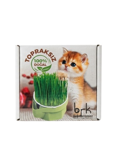 Brk Topraksız Doğal Kedi Çimi