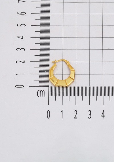 Bilezikci  Çizgili Halka Altın Küpe Sarı Altın