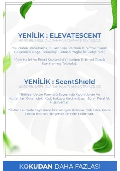 Auran Nefes Açıcı Nane Ve Okaliptüs Esansiyel Uçucu Koku Yağı Buhurdanlık Yağı Difüzör Esansı Küre 10ml Abundance Prosperity