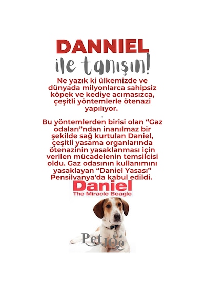 Petjoo 21.Danniel Gri-Kırmızı Qr'lı Köpek Künyesi