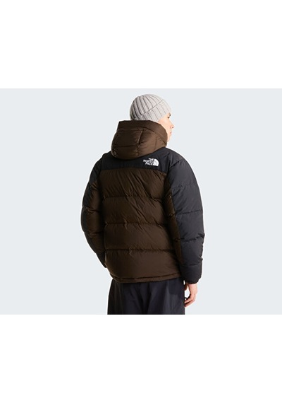 The North Face M Hmlyn Down Parka Erkek Outdoor Montu 550 Dolgu Kaz Tüyü Nf0a4qyxrm11 Kahverengi