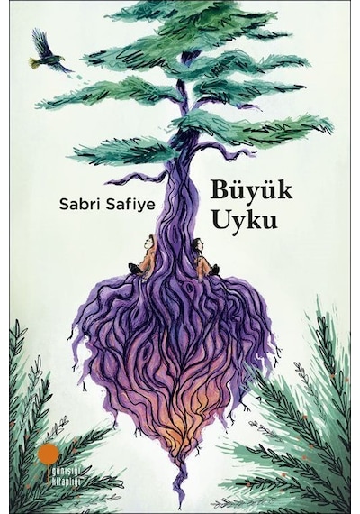 Büyük Uyku / Sabri Safiye