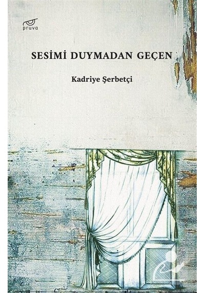 Sesimi Duymadan Geçen - Kadriye Şerbetçi