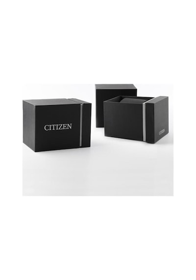 Citizen BF2011-51EE Erkek Kol Saati