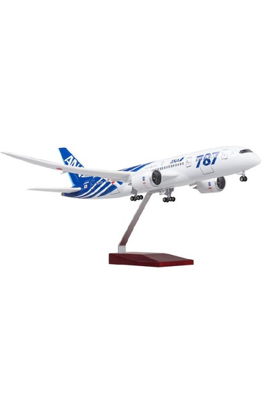 Maket Uçaklar-ana-ölçek : 1:130 43 Cm-jb787ana
