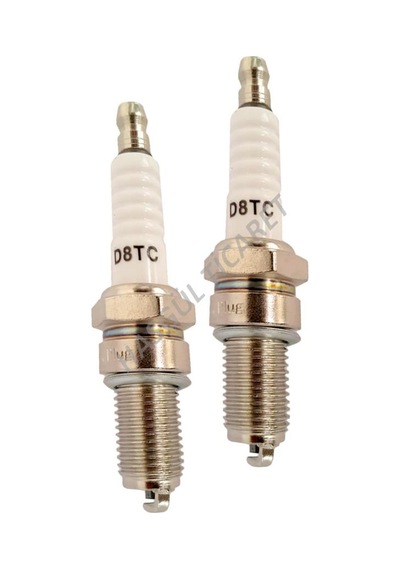 Hsgl Cg Motorsiklet Buji D8tc 2 Adet N11.45