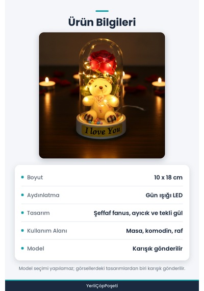 Ayıcıklı Ledli Gül Fanus Standart