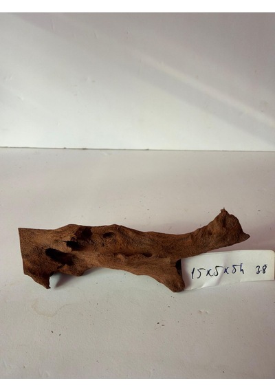 Mangrow Kökü No:a38a 15x5x5h