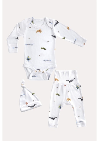 Mama Padre Marino Yenidoğan Mini Set - 3 Parça Renkli - 861046989 Renkli