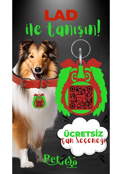Petjoo 23.Lad Yeşil-Kırmızı Qr'lı Köpek Künyesi