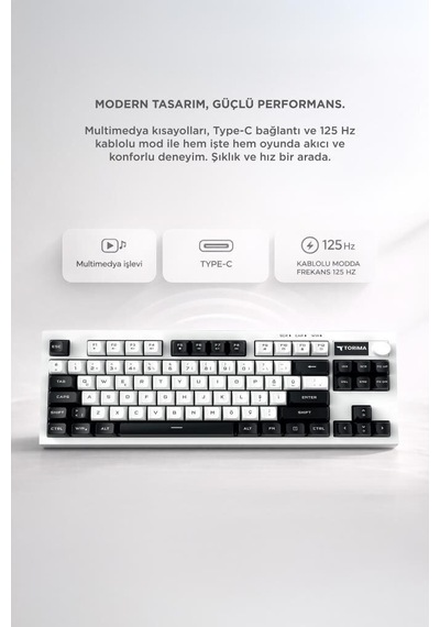 Yazı Aleti Renkli Bağlantılı Kablolu Klavye Rgb Işıklı Sessiz Q Klavye Tk12 Siyah Beyaz