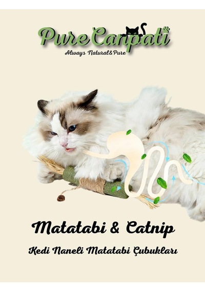 Lexroo Matatabi & Catnip Kedi Oyuncağı Doğal Kedi Oyuncağı & Diş Kaşıyıcı