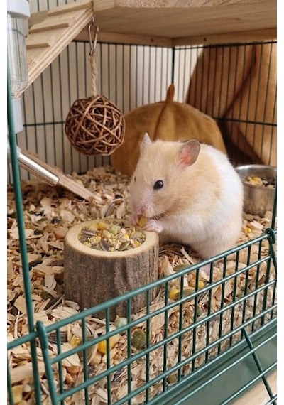 Doğal Kütük Hamster Yemliği - Mini Kemirgen Yem Kabı 3,5 Cm
