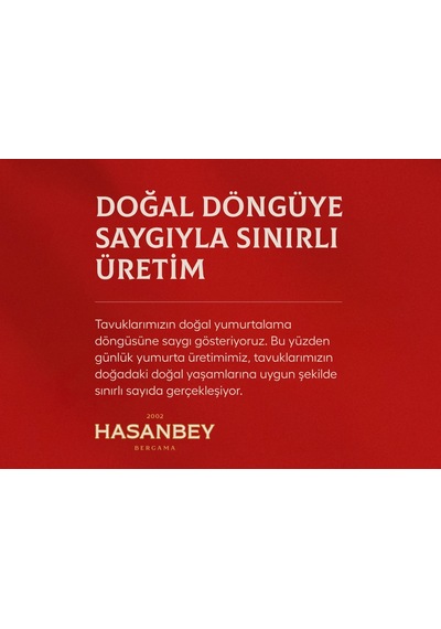 Kafessiz Köy Tavuğu Yumurtası 15 Adet