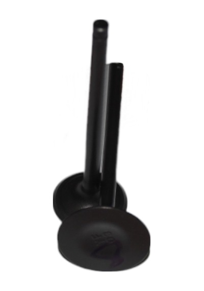 Mondial X-treme Maxx 200 Subap Takım Oem Xtr08