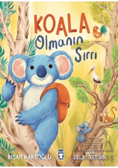 Koala Olmanın Sırrı