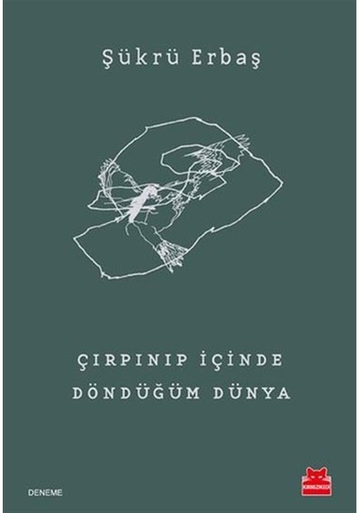 Çırpınıp İçinde Döndüğüm Dünya