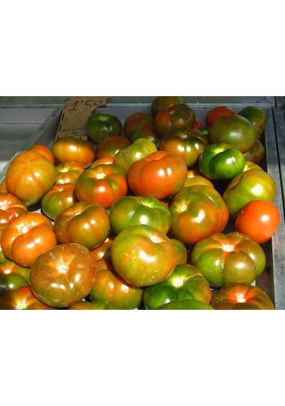 30 Adet Domates Tohumu Yayla Domatesi Tohumu + Tohum