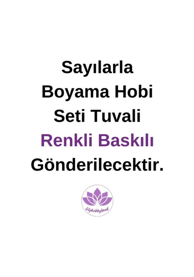 Sayılarla Boyama Hobi Seti Renkli Baskılı Çerçeveli 40x50 Cm: Papatyalı Çaydanlık - 590859459 Diğer